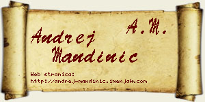 Andrej Mandinić vizit kartica